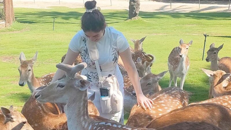 Cairo: Guided Day Trip to Africa Safari Park with Lunch - Authentic Experiences and Considerations