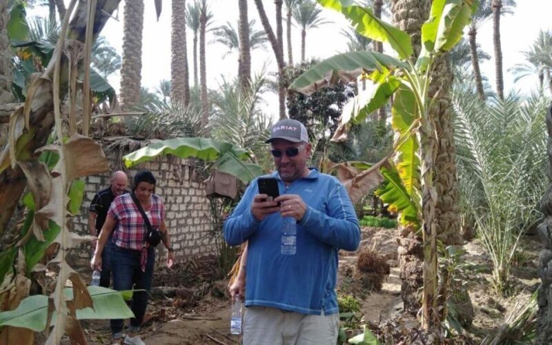 Cairo: Having Breakfast At Green Farm - Authenticity and Insights from Past Travelers