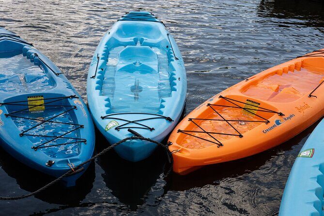 Cairo Kayak on The Nile River - The Price and Overall Value