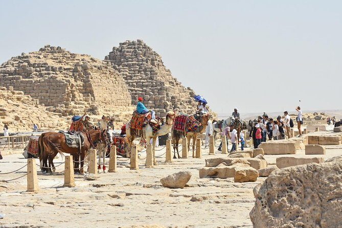 Cairo Layover Tour to Pyramids & Sphinx from Cairo Airport - Key Points