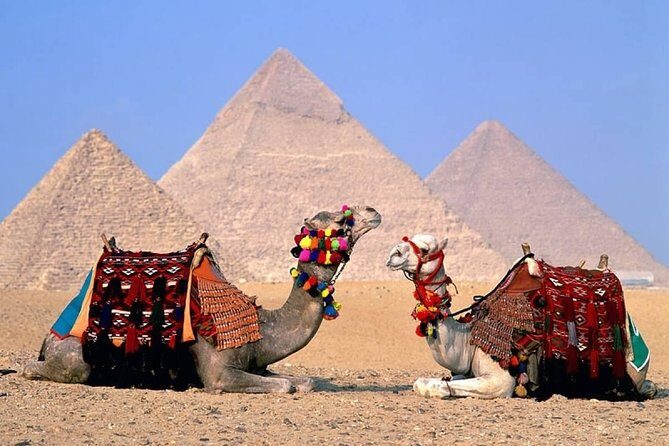Cairo Layover Tours to Giza Pyramids and Sphinx From Cairo Airport - Who Would Love This Tour?