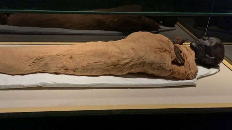 Cairo: National Museum of Egypt Skip-the-Line QR Ticket - Who Should Consider This Tour?