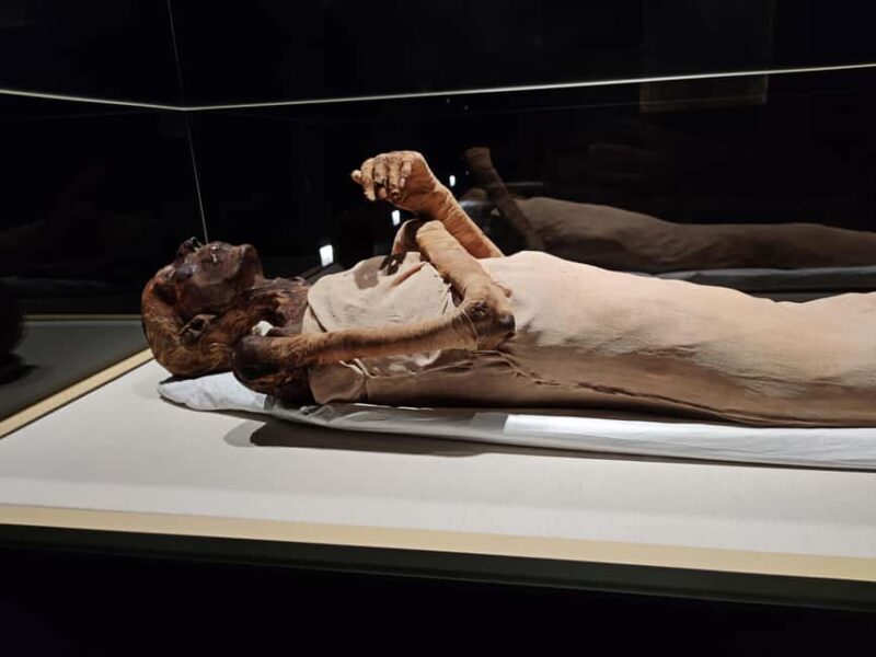 Cairo: National Museum of Egyptian Civilization Entry Ticket - Why this tour is worth considering