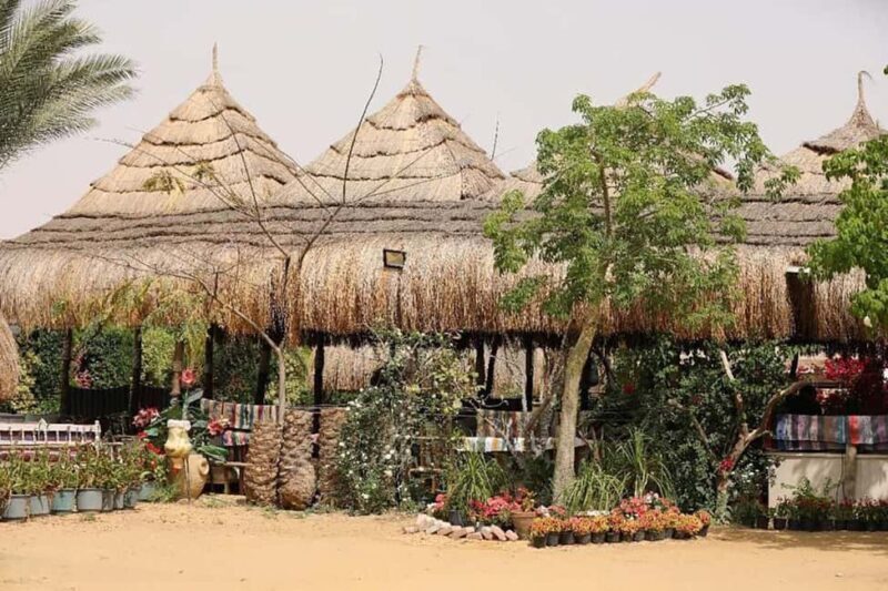 Cairo: Oriental Breakfast (Fatir)or Lunch in arabian village - An Immersive Culinary Escape Just Outside Cairo