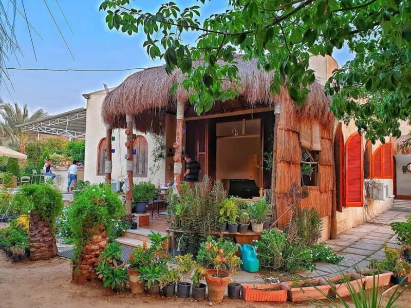 Cairo: Oriental Breakfast (Fatir)or Lunch in arabian village - Practical Details: Transportation, Timing, and Cost