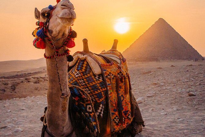 Cairo tour/ Day tour to Giza Pyramids,Egyptian Museum,Islamic or Coptic Cairo - Key Points