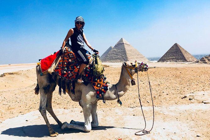 Cairo Unusual Day Tour Visit Camel Market in Birqash - The Market Experience from the Eyes of Reviewers