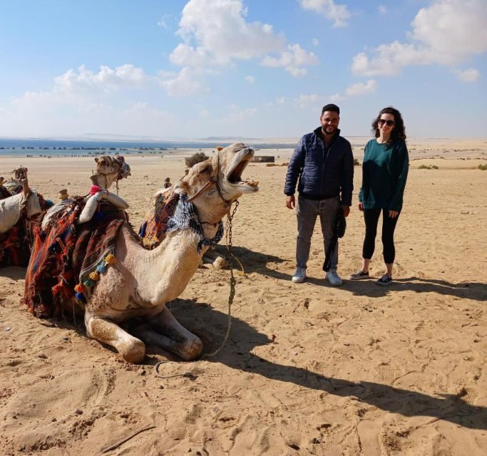 Cairo: Wadi El Ryan, El Fayoum Oasis & Bird Watching Tour - Final Thoughts
