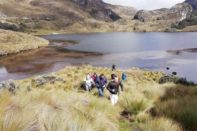 cajas-national-park-half-day-tour-from-cuenca