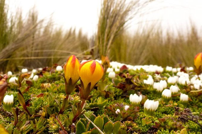 cajas-np-hiking-thermal-baths-from-cuenca