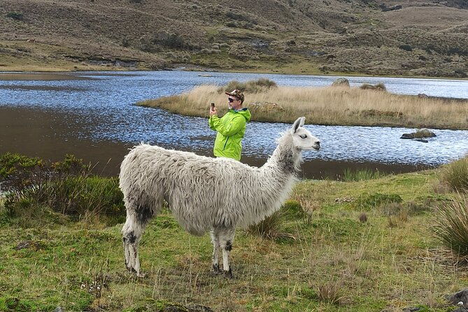 cajas-np-hiking-thermal-baths-from-cuenca