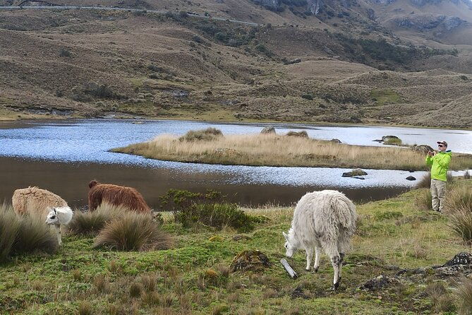 cajas-np-hiking-thermal-baths-from-cuenca