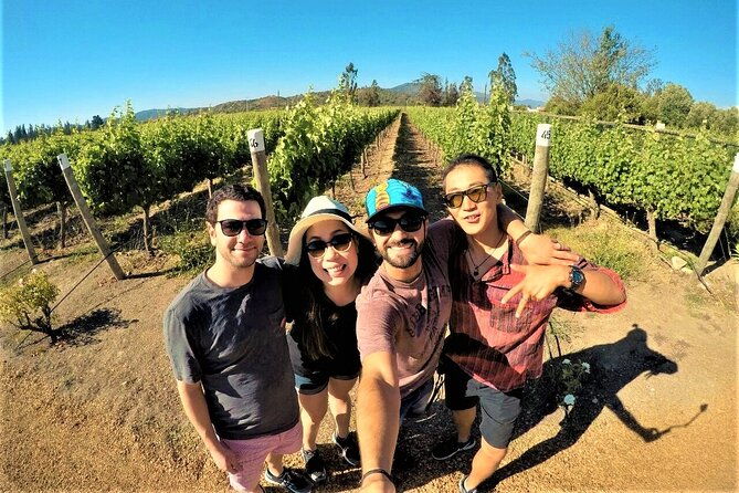 cajon-del-maipo-with-lunch-and-vineyard-tour