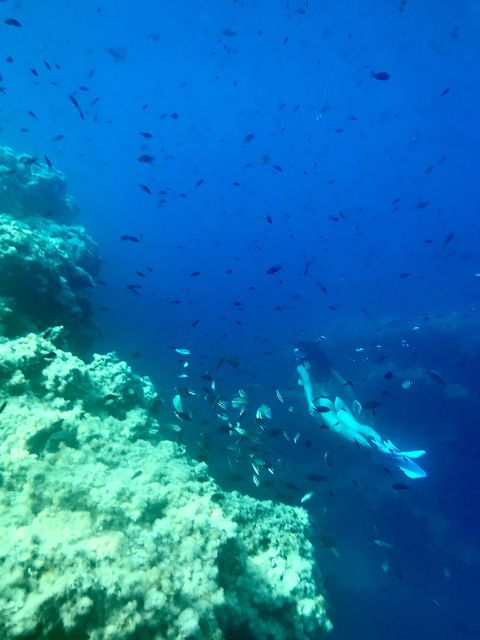 cala-codolar-guided-sea-kayaking-and-snorkeling-tour