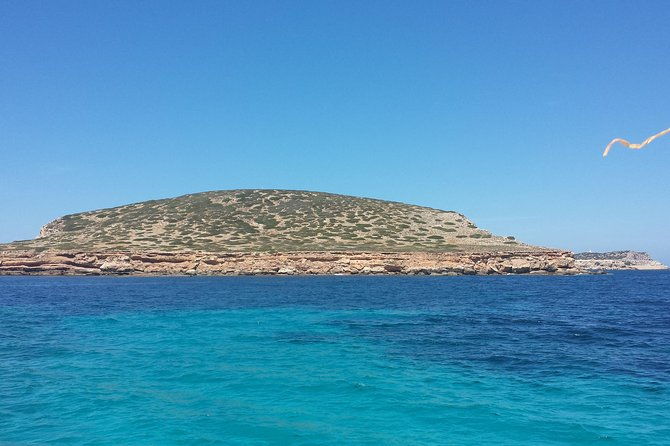 cala-comte-private-catamaran-tour
