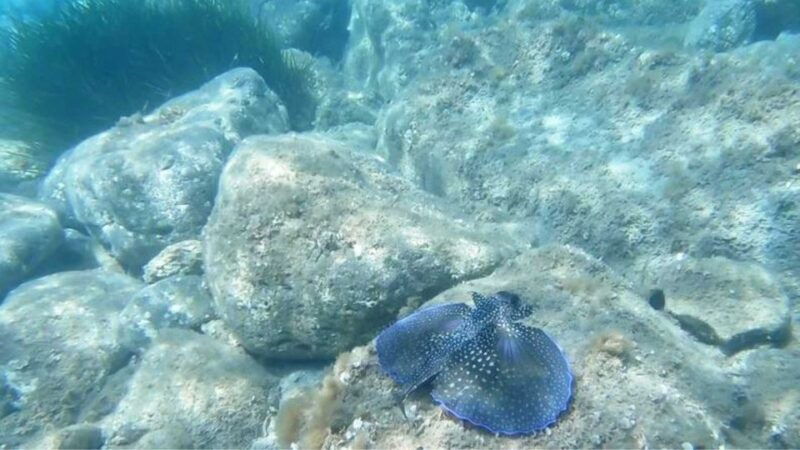 cala-gonone-snorkeling-in-the-orosei-gulf-2