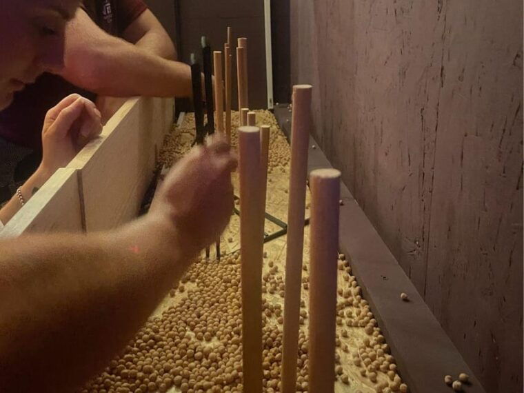 cala-millor-indoor-game-funchallengeduelscreative-tasks