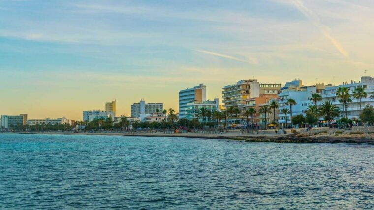 cala-millor-magical-creatures-of-cala-millor-family-game