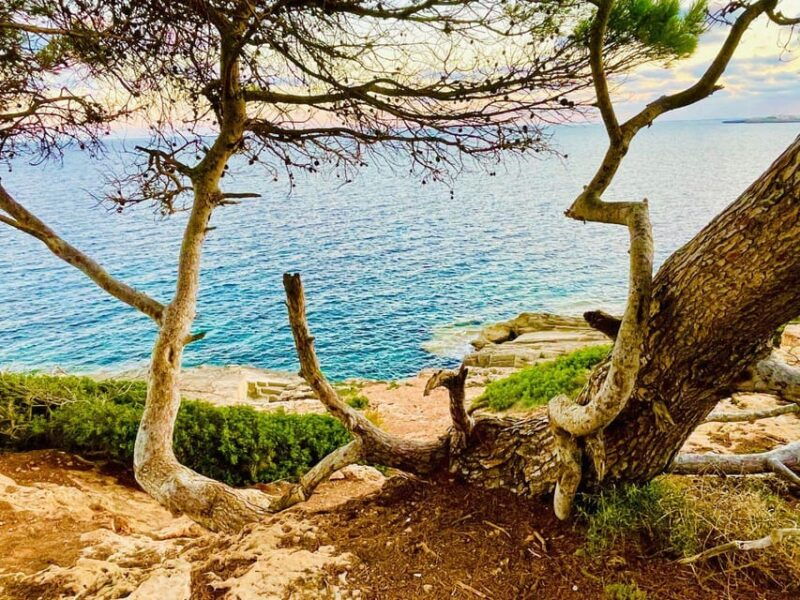 cala-millor-real-treasure-hunt-in-natural-reserve-fun-walk