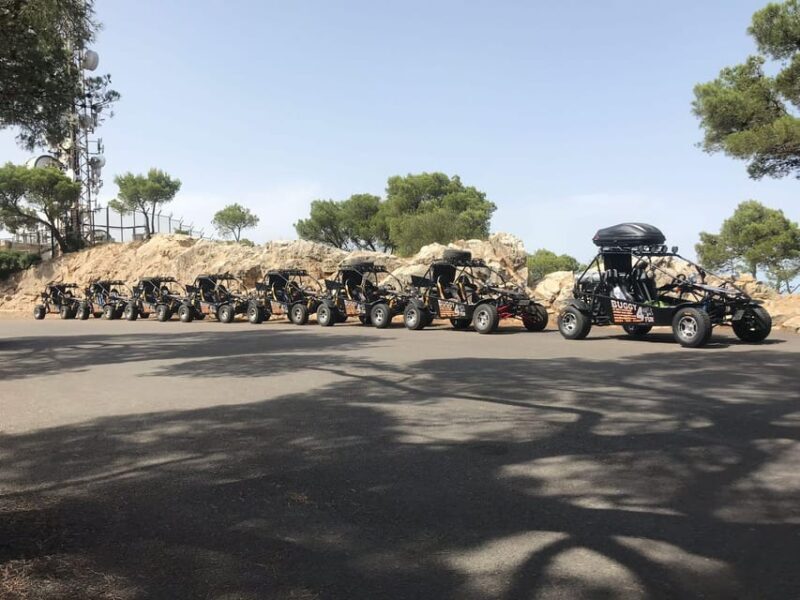 Cala Millor / Sa Coma: Buggy or Mini Jeep Tour  approx. 3 hours - Practical Details for Travelers