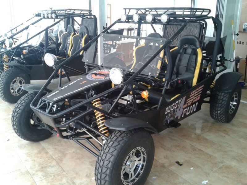 Cala Millor/Sa Coma: Guided Buggy Tour - Authentic Traveler Insights