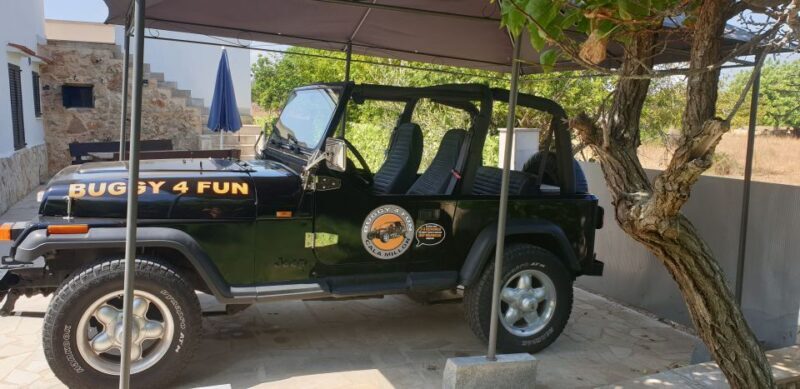 Cala Millor/Sa Coma: Guided Buggy Tour - Who Would Love This Tour?
