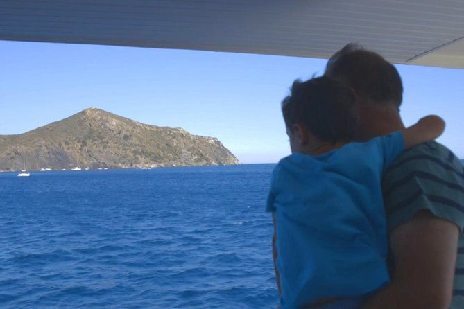 cala-murtra-immerse-yourself-in-the-beauty-of-an-underwater-world