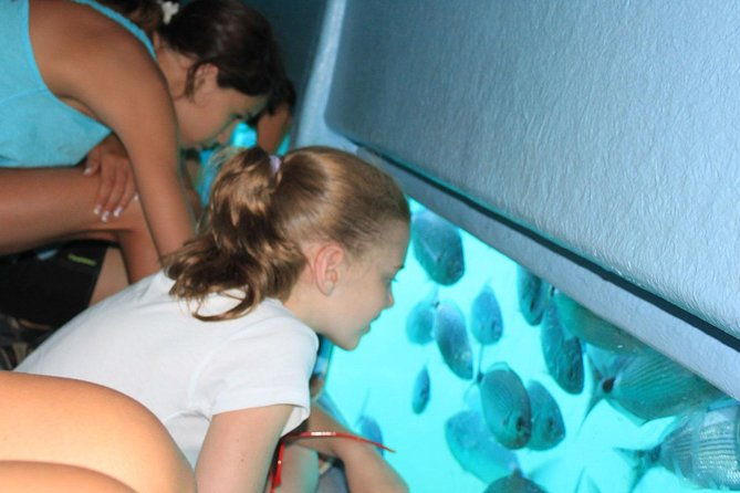 cala-murtra-immerse-yourself-in-the-beauty-of-an-underwater-world