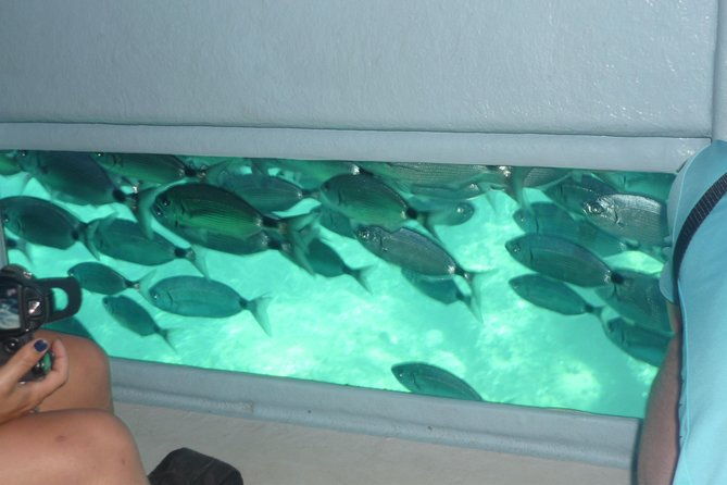 cala-murtra-immerse-yourself-in-the-beauty-of-an-underwater-world