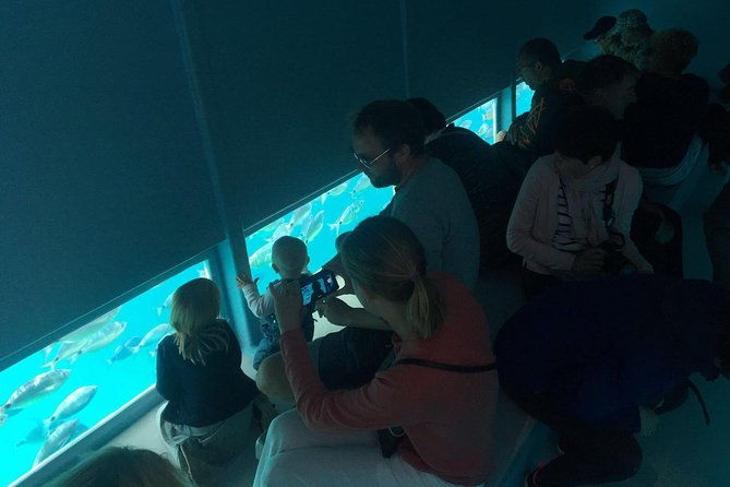 cala-murtra-immerse-yourself-in-the-beauty-of-an-underwater-world