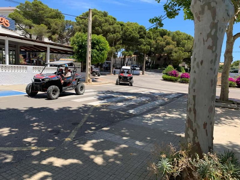 Cala Ratjada: Exclusive buggy tour also for families - Who Will Love This Experience?