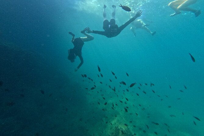 cala-varques-guided-kayak-sea-caves-expedition-snorkeling-2