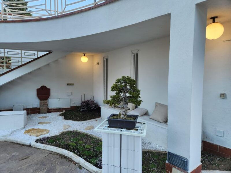 calabria-3-day-bonsai-workshop-with-accommodation