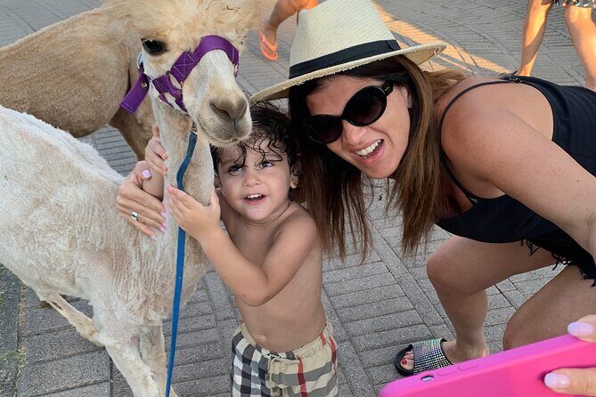 Calabrian Alpacas Sunset Beach Experiences Pizzo VV AlpacSelfies - Key Points