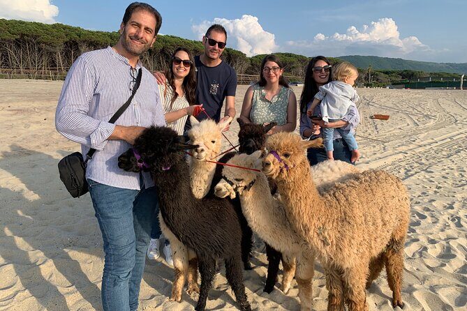 Calabrian Alpacas Sunset Beach Experiences Pizzo VV AlpacSelfies - Who Is This Tour Best For?