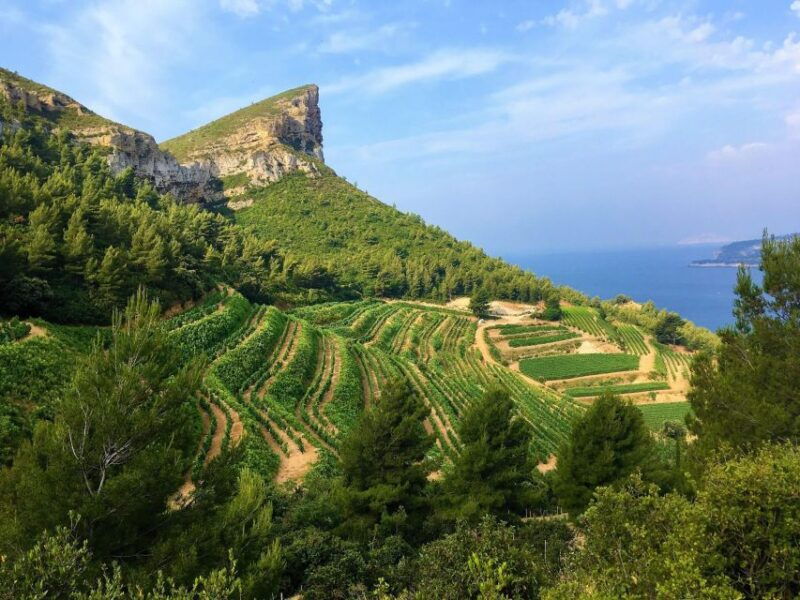 calanques-of-cassis-the-village-and-wine-tasting-2