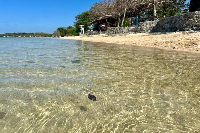 Calatagan Beach Waterpark Island Hopping Adventure from Manila - Authentic Experiences and Hidden Gems