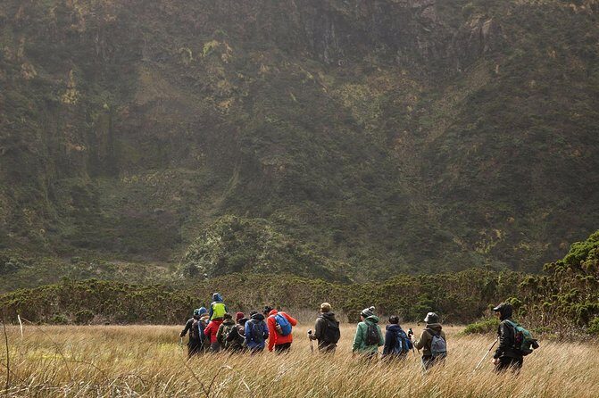 Caldeira do Faial Descent - private hiking tour - What Makes This Tour Stand Out?