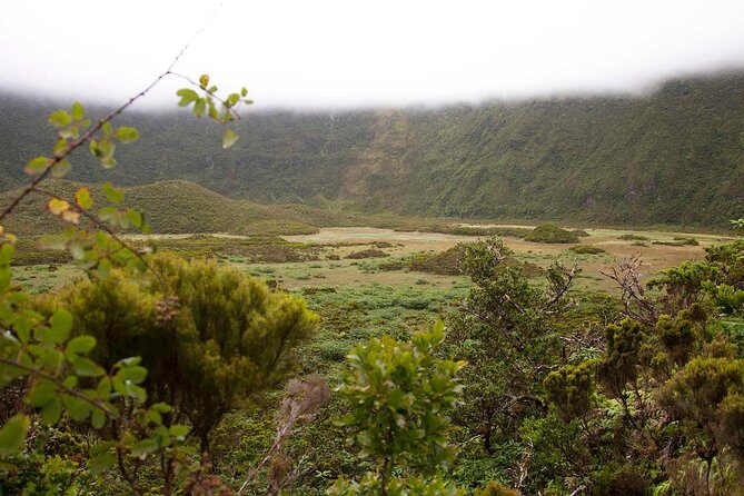 Caldeira do Faial Descent - private hiking tour - The Value of the Experience