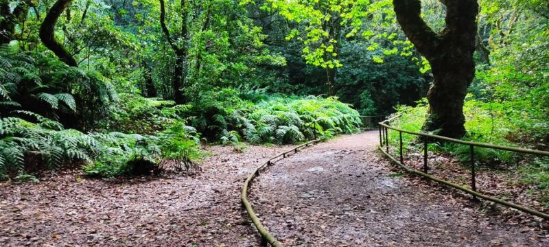 caldeirao-verde-burned-pr9-transfer-self-guided-hike