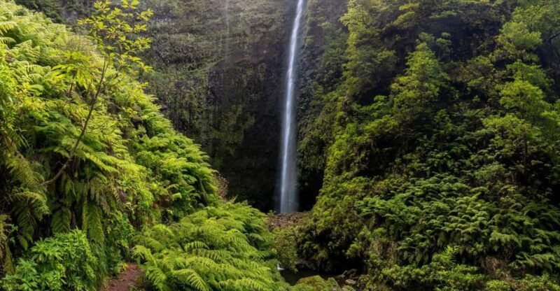 caldeirao-verde-burnings-madeira-island-walk
