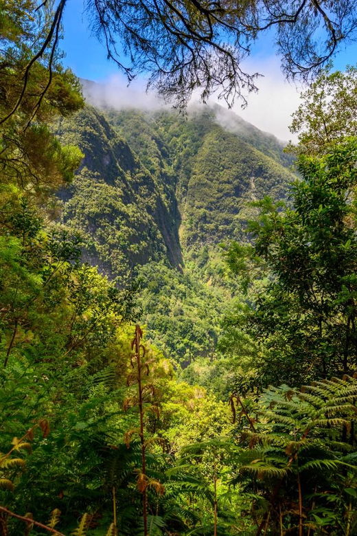 caldeirao-verde-burnings-madeira-island-walk