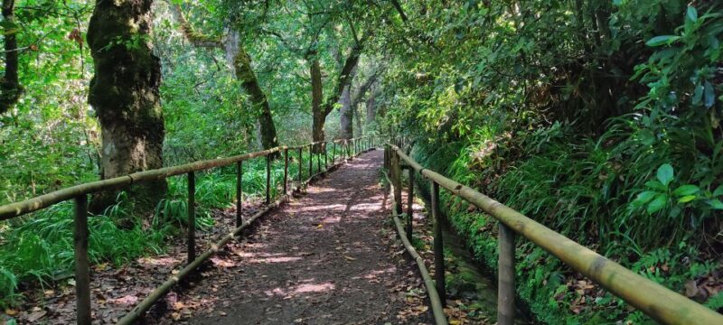 Caldeirão Verde: Queimadas PR9 Transfer and Self-Guided Hike - Who is This Tour Best For?