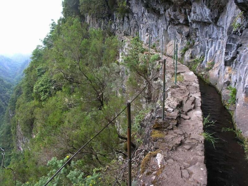 Caldeirão Verde: Queimadas PR9 Transfer Hike - Authentic Experiences from Past Travelers