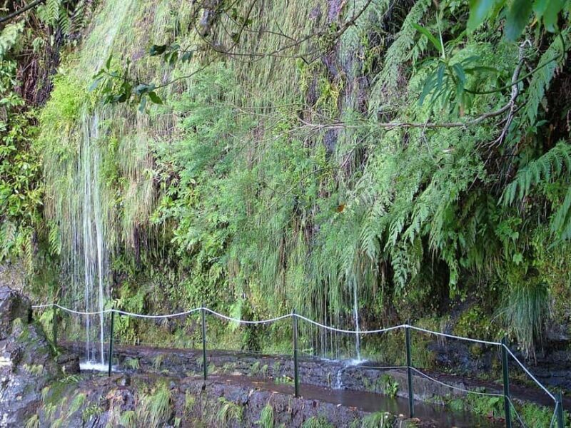 Caldeirão Verde: Queimadas PR9 Transfer Hike - Final Thoughts: Is This Tour for You?