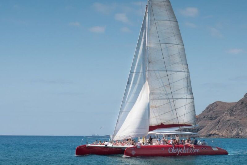 caleta-de-fuste-catamaran-sailing-experience