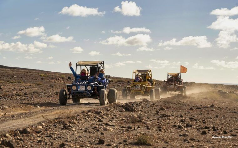 caleta-de-fuste-guided-buggy-explorer-tour