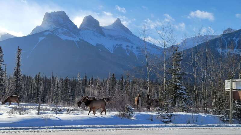 calgary-canmore-banff-lake-louise-gondola-included
