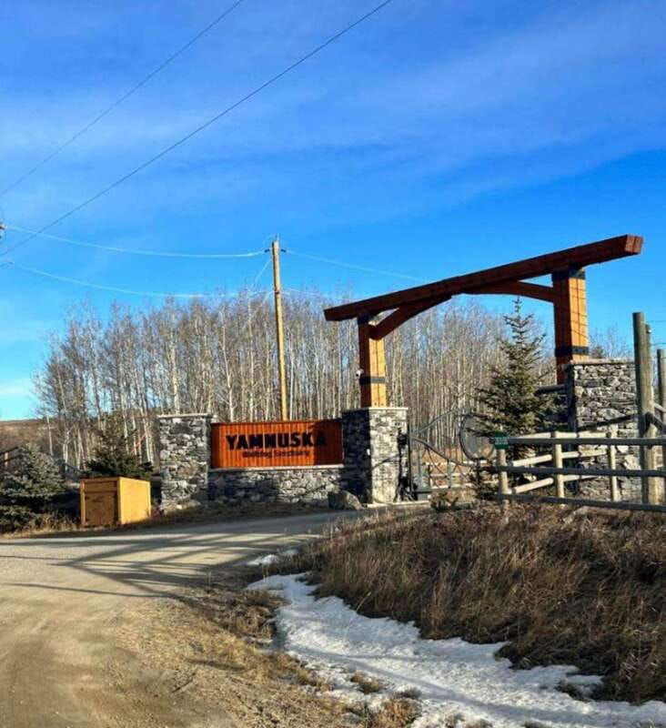 calgary-city-tour-yamnuska-wolfdog-sanctuary-private-tour