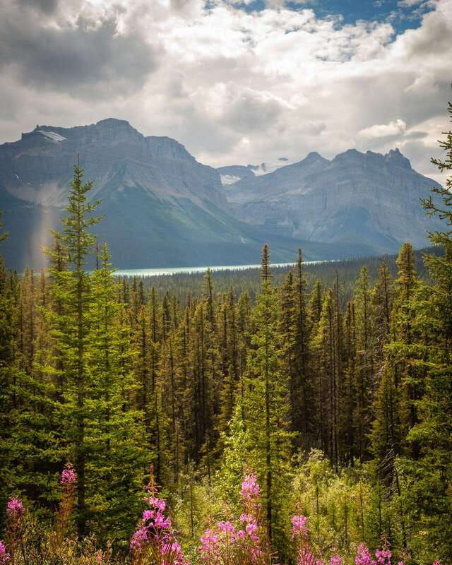 calgary-crowfoot-bow-peyto-lake-marble-canyon-day-trip